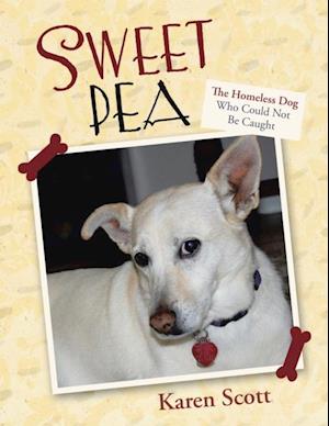 Sweet Pea