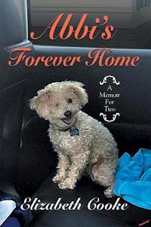 Abbi's Forever Home