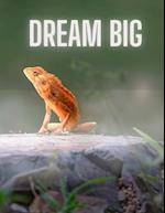 Dream Big Notebook 