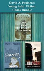 David A. Poulsen's Young Adult Fiction 3-Book Bundle