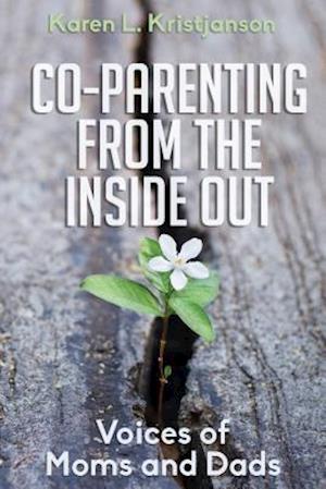 Co-Parenting from the Inside Out