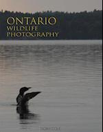 Ontario Wildlife Photography