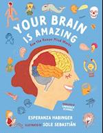 Your Brain Is Amazing