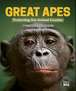 Great Apes