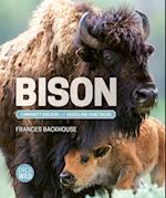 Bison