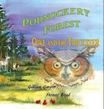 Podnockery Forest - Owl and the Trickster