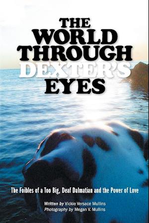 The World Through Dexter's Eyes