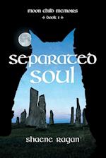 Separated Soul