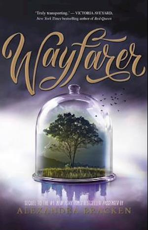 Wayfarer (Passenger, Book 2)