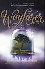 Wayfarer (Passenger, Book 2)