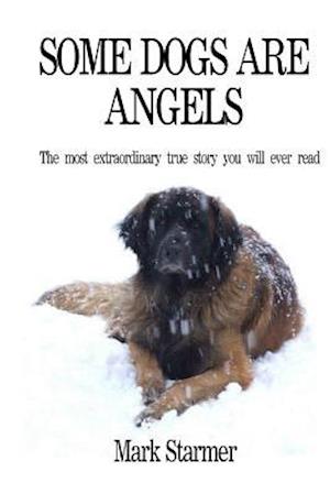 Some Dogs Are Angels