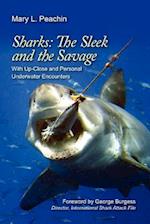 Sharks the Sleek and the Savage
