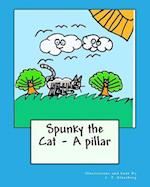 Spunky the Cat - A Pillar