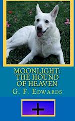 Moonlight: The Hound of Heaven 
