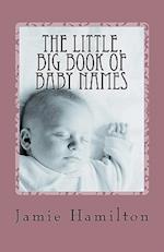The Little, Big Book of Baby Names