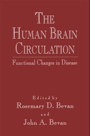 Human Brain Circulation