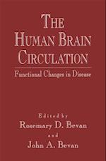 Human Brain Circulation