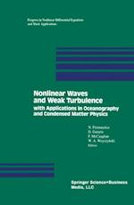 Nonlinear Waves and Weak Turbulence