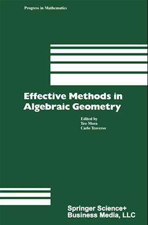 Effective Methods in Algebraic Geometry