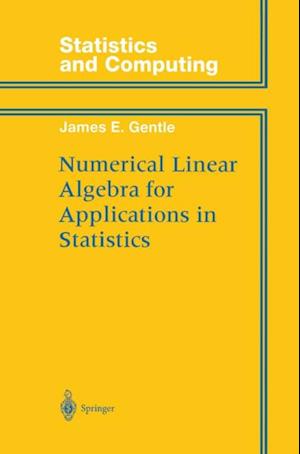 Numerical Linear Algebra for Applications in Statistics