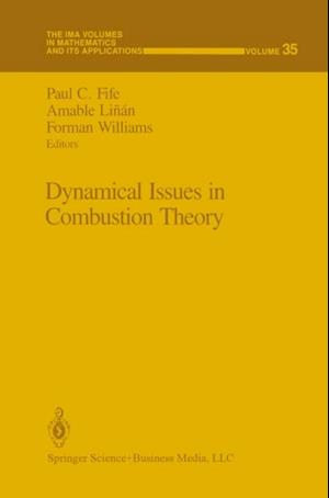 Dynamical Issues in Combustion Theory