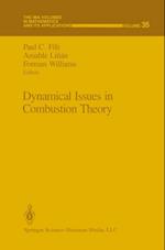 Dynamical Issues in Combustion Theory