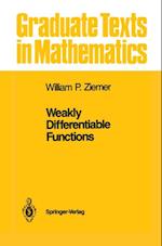 Weakly Differentiable Functions