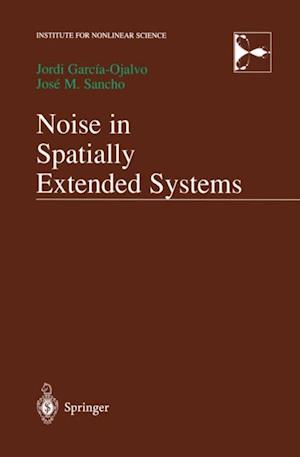 Noise in Spatially Extended Systems