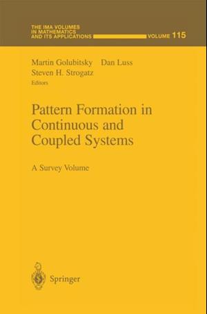 Pattern Formation in Continuous and Coupled Systems