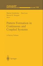 Pattern Formation in Continuous and Coupled Systems