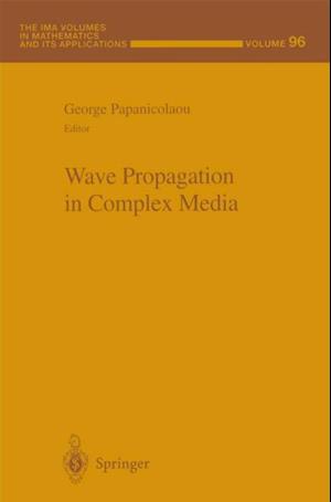 Wave Propagation in Complex Media