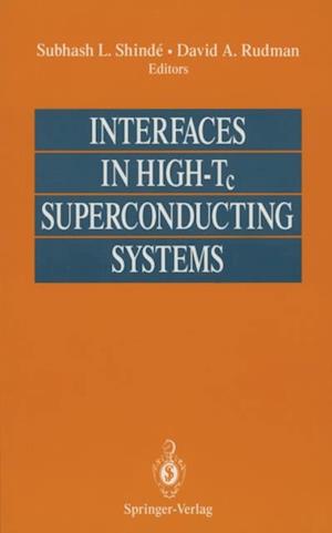 Interfaces in High-Tc Superconducting Systems