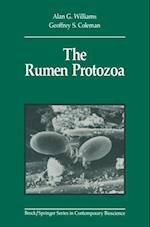 Rumen Protozoa