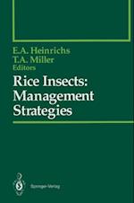 Rice Insects: Management Strategies