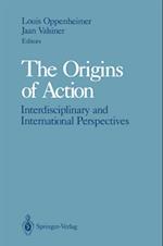 Origins of Action