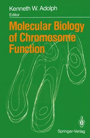 Molecular Biology of Chromosome Function