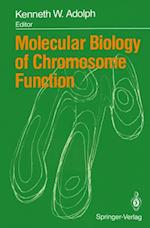 Molecular Biology of Chromosome Function