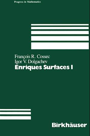 Enriques Surfaces I