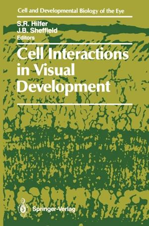 Cell Interactions in Visual Development