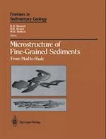 Microstructure of Fine-Grained Sediments