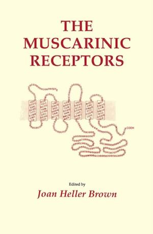 Muscarinic Receptors