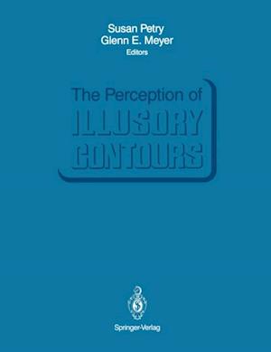 Perception of Illusory Contours