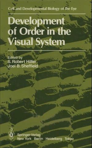 Development of Order in the Visual System