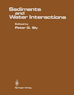 Sediments and Water Interactions