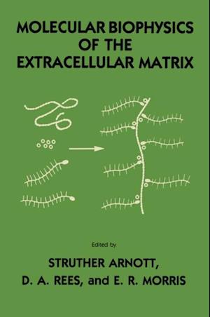 Molecular Biophysics of the Extracellular Matrix