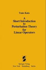 Short Introduction to Perturbation Theory for Linear Operators
