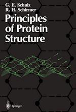 Principles of Protein Structure