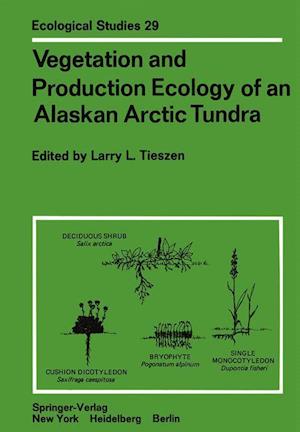 Vegetation and Production Ecology of an Alaskan Arctic Tundra