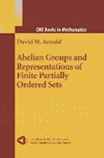 Abelian Groups and Representations of Finite Partially Ordered Sets