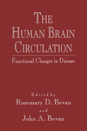 The Human Brain Circulation